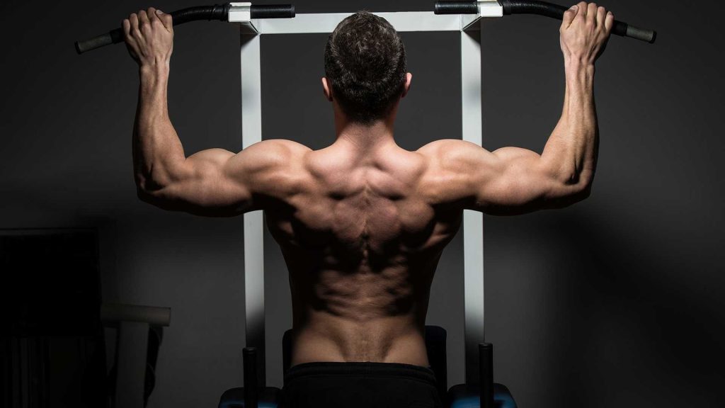 Shoulder Workout Guide — The Best Shoulder Exercises for Complete Development shoulder workout